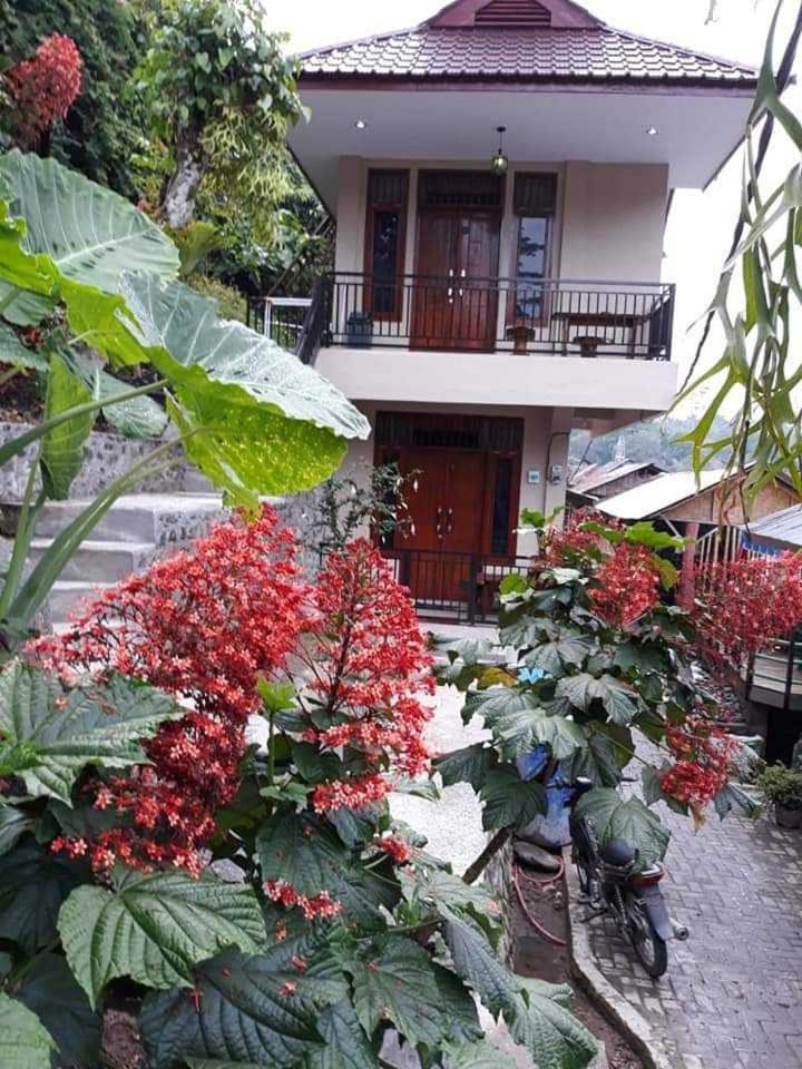Hotel Bukit Lawang Exterior foto